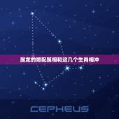 属龙的婚配属相和这几个生肖相冲，属龙的跟什么属相婚配好