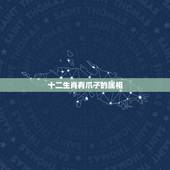 十二生肖有爪子的属相，请告诉我十二生肖里那几个有爪子的生肖