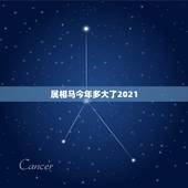 属相马今年多大了2021，属马的人2021年多大