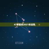 47岁属虎2021年运势，74年属虎男2021年运势及运程每月运程五月
