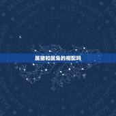 属猪和属兔的相配吗，生肖猪和生肖兔