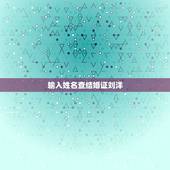 输入姓名查结婚证刘洋，姓名代码查询刘洋