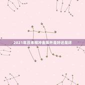 2021年丑未相冲金库开是好还是坏，2021年什么命五行属性