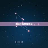 流年什么时候转运，辛丑大运金旺还是入墓