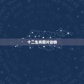 十二生肖图片动物，十二生肖是哪些动物，十二生肖对应的动物