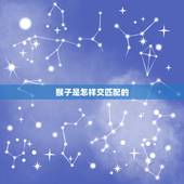 猴子是怎样交匹配的，猴子为什么一次只搞几下