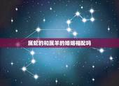 属蛇的和属羊的婚姻相配吗，属羊和属蛇的合不合适做夫妻