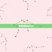 羊的财运2022，2023属羊运气好不好