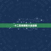 十二生肖婚配大全动画，最准的12生肖配对表？