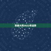 苏珊大妈2022年运势，属鼠2022年运势及运程