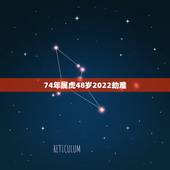 74年属虎48岁2022劫难 74年女虎2022年运气