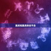 属虎和属虎的合不合，1998属虎更佳结婚年龄