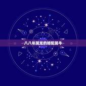 八八年属龙的婚配属牛，属牛的属相婚配表