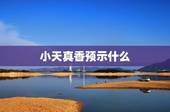 小天真香预示什么，焚香中的“小天真”是何解