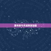 属牛的今天运势及运程，2017年属牛的运程每月运势