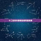 十二生肖夫妻相生相克查询表，十二生肖中什么与什么相生相克