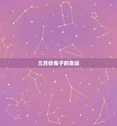 三月份兔子的命运，三月属兔的人命运
