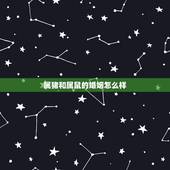 属猪和属鼠的婚姻怎么样，女84年属鼠和男83年属猪婚姻怎么样