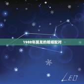 1988年属龙的婚姻配对，88年属龙的和什么属相最配