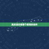 属虎适合戴哪个属相的挂件，属虎的人适合佩带什么玉佩