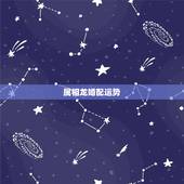 属相龙婚配运势，属龙的今年与什么属相配合能有好的财运
