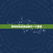 静待时机时来运转打一个属相，三四来码二五出，六六大顺一路发打一个生肖