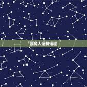 属兔人运势运程，属兔今天运势及运程