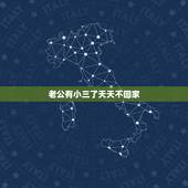老公有小三了天天不回家，老公找了小三，天天晚上不回家，我要怎么办！
