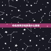 12生肖努尔哈赤是什么属相，清朝十二帝属相