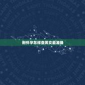 刚怀孕怎样查男女最准确，怎样查生男生女最准确