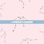 95属猪的和什么属相最配