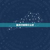 属虎打牌带什么好，属虎今天打麻将财运