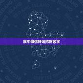 属牛微信好运招财名字，我85属牛的什么样的微信昵称能带来财运，好运