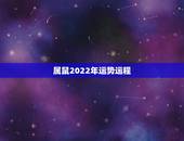 属鼠2022年运势运程，1984年属鼠2021年运势及运程