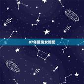 87年属兔女婚配，1987年属什么生肖