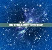 属鼠带口带米字的好运招财微信名，表示招财好运气的微信名有哪些？