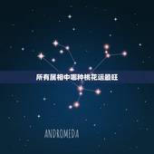 所有属相中哪种桃花运最旺，2021年桃花运最旺的生肖有谁？