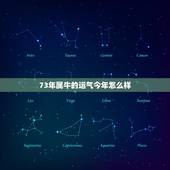 73年属牛的运气今年怎么样 73年女2022年运气