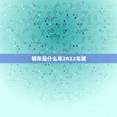 明年是什么年2022年属，2022年属什么生肖？
