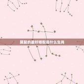 属鼠的最好婚配是什么生肖，属鼠的属相婚配表，属鼠和什么属相最配