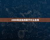 2000年出生的属于什么生肖，1999年，是属什么生肖年