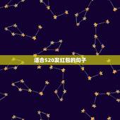 适合520发红包的句子，520告白句子 发红包