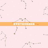 塔罗测下段恋情遇到谁，塔罗占卜正缘身在何处