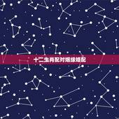 十二生肖配对姻缘婚配，蛇和什么生肖最配？属蛇的属相婚配表大全
