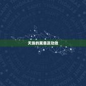 天珠的寓意及功效，什么是天珠，佩戴天珠有什么意义