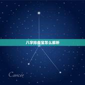 八字排盘宝怎么解析，八字排盘求高人解析