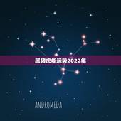 属猪虎年运势2022年，83年属猪人最旺的年龄