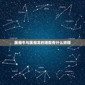 属相牛与属相龙的婚配有什么妨碍，属大龙能和属牛的婚配吗