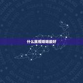 什么属相婚姻最好，婚配 属相 龙与猪合吗？龙跟什么属相比较合适？