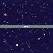 2022 年生肖对照表49码，2022 十二生肖表新版